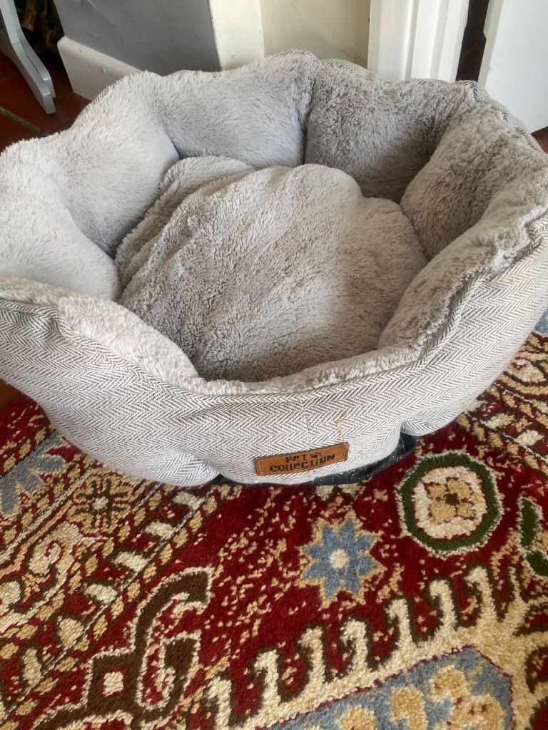 Small Dog Beds in Excellent Condition