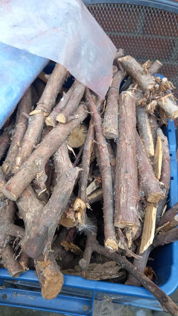 Free seasoned wood for log burners/firepits