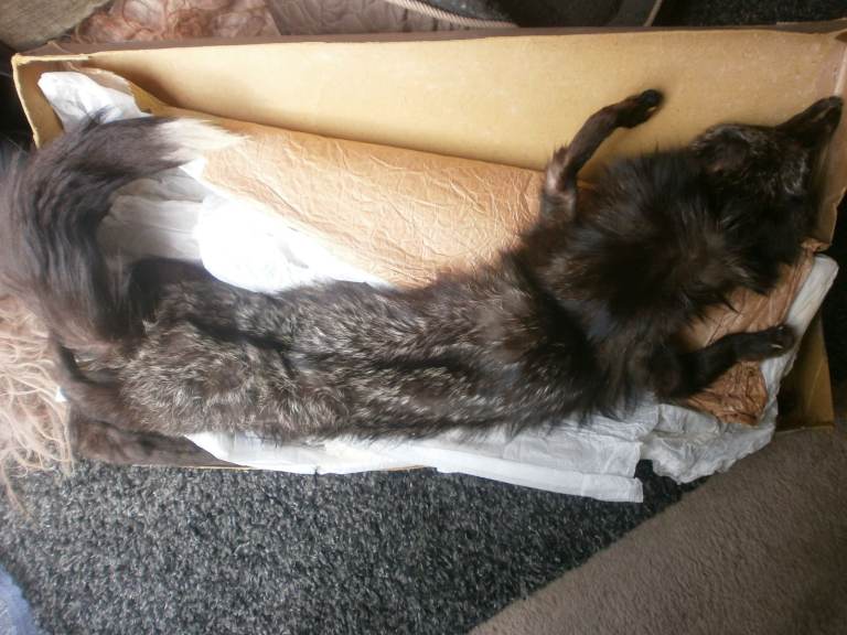 Fox Fur Vintage Scarf Stole