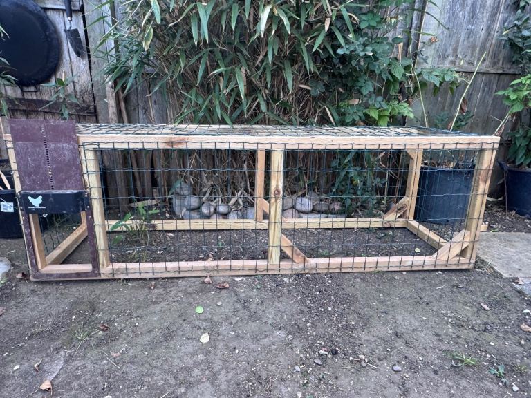 Chicken Run 