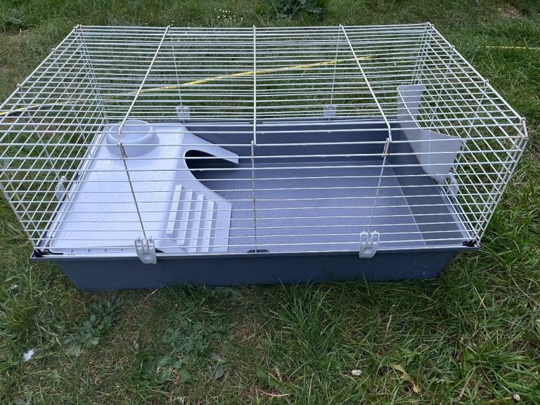 Indoor Rabbits, Guinea pig pets cage