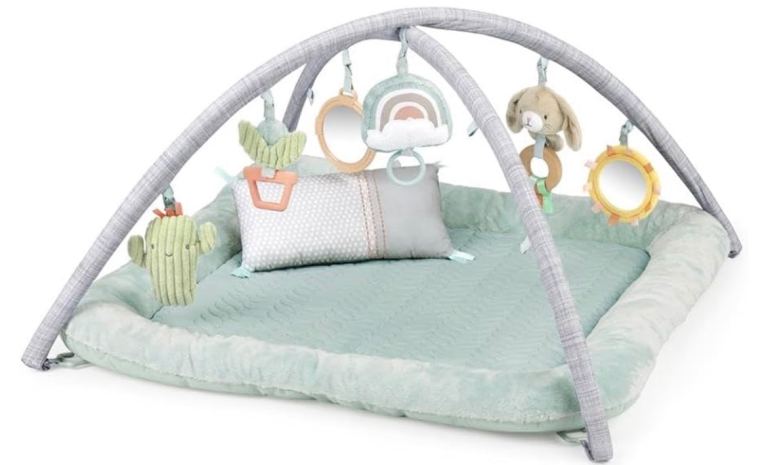 Ingenuity baby gym 