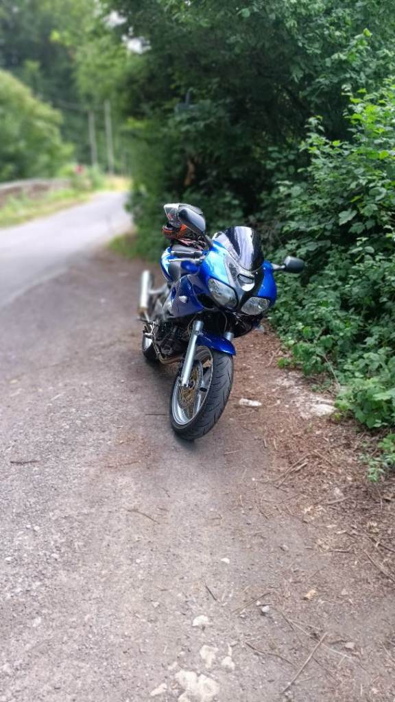 Suzuki, SV, 2001, 645 (cc)