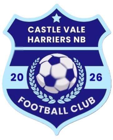 Outfield Players Wanted.   u13  Year 7/8.  26/27 Season.