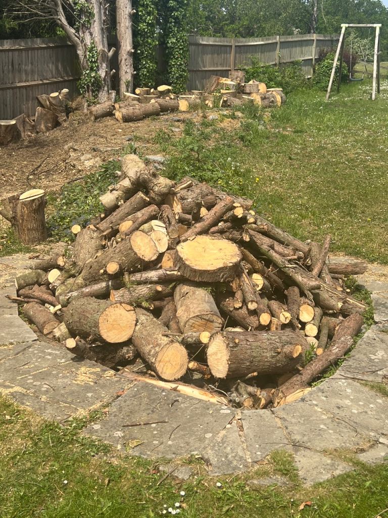 FREE LOGS
