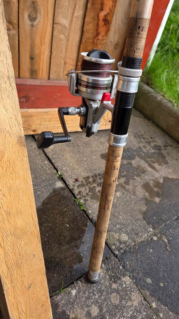 9 foot Spinning Rod and reel 