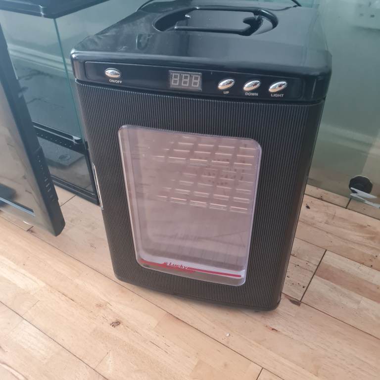 Reptile egg incubator 