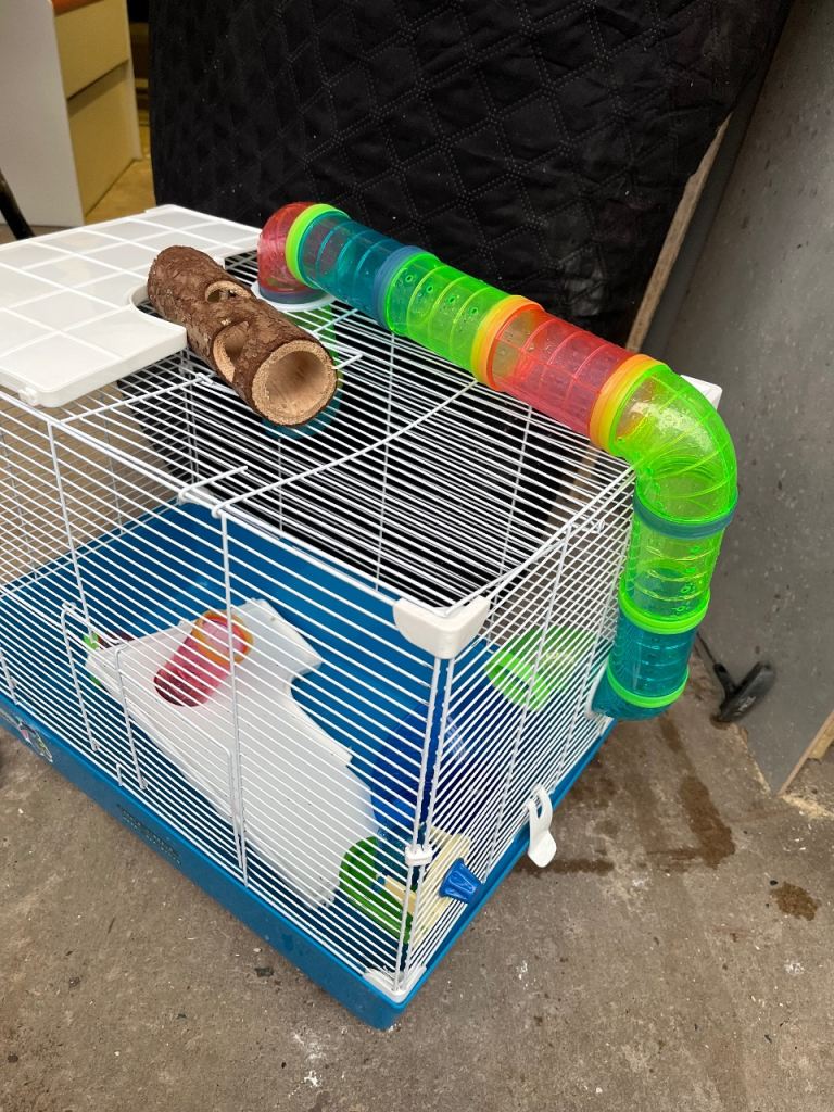 Hamster cage