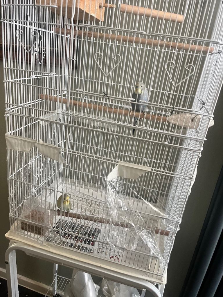 Cage for budgie 