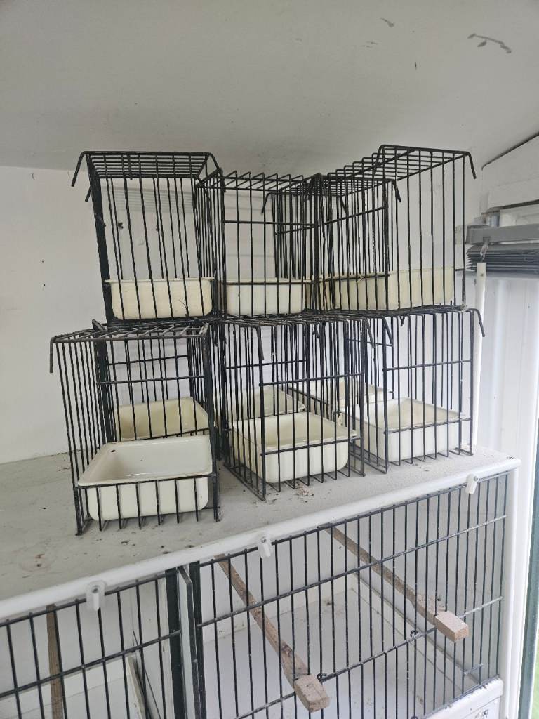 Bird keeping equipment 