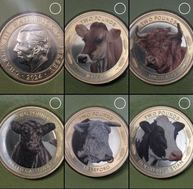 £2 Jersey 2024 5x Coins Set - Heritage Cattle Breeds Colour BUNC sealed pack