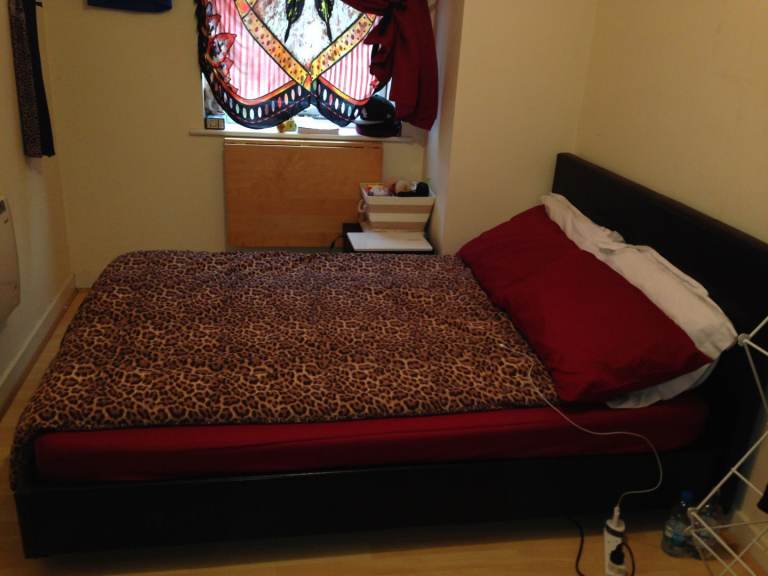 one bedroom to rent 