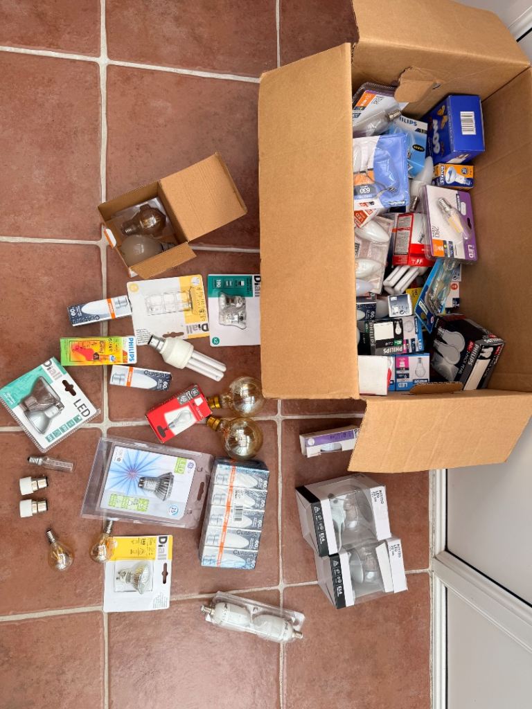Box of Light Bulbs