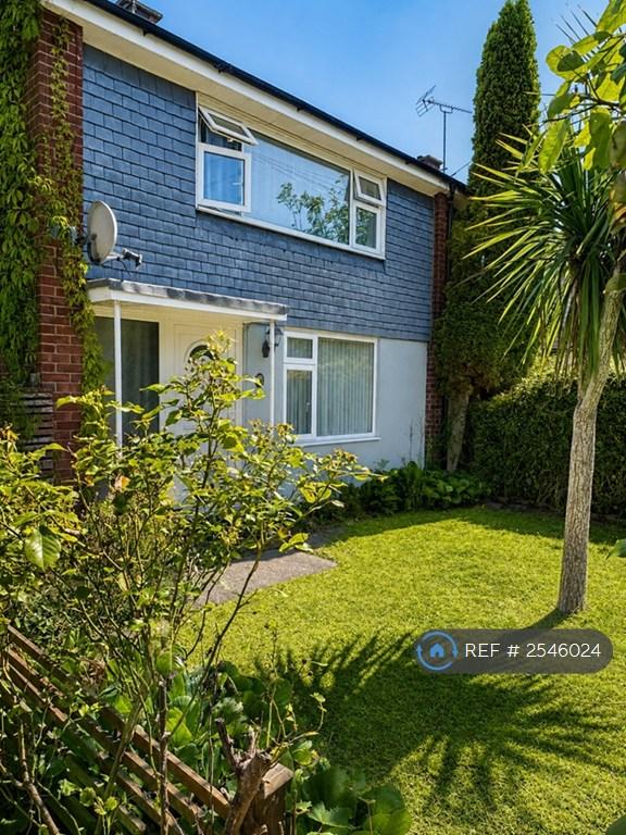 3 bedroom house in Cambridge Walk, Bury St Edmunds, IP32 (3 bed) (#2546024)