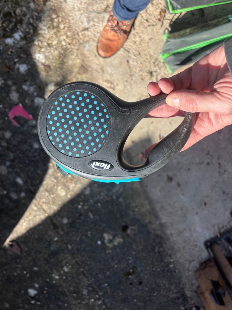 5m extendable dog lead