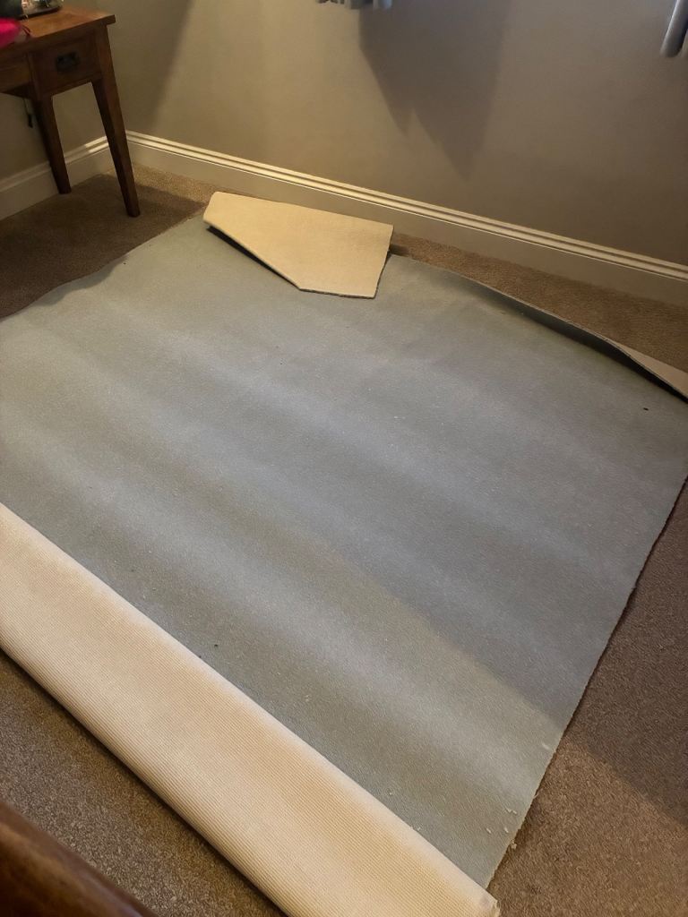 Light Blue / Grey Carpet