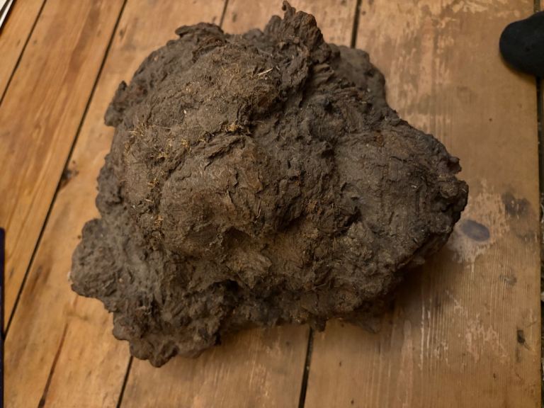 Large Wood Burr – Natural Wood Piece for Crafts or Decor