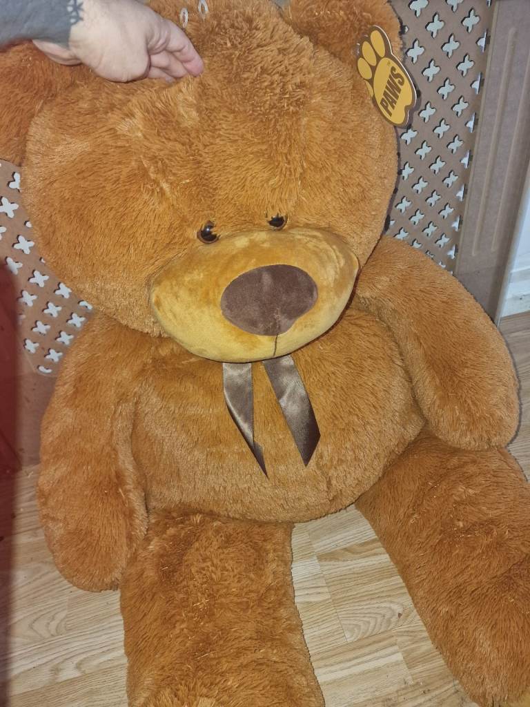 Massive teddy