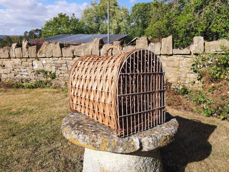 Wicker cat or small dog carrier