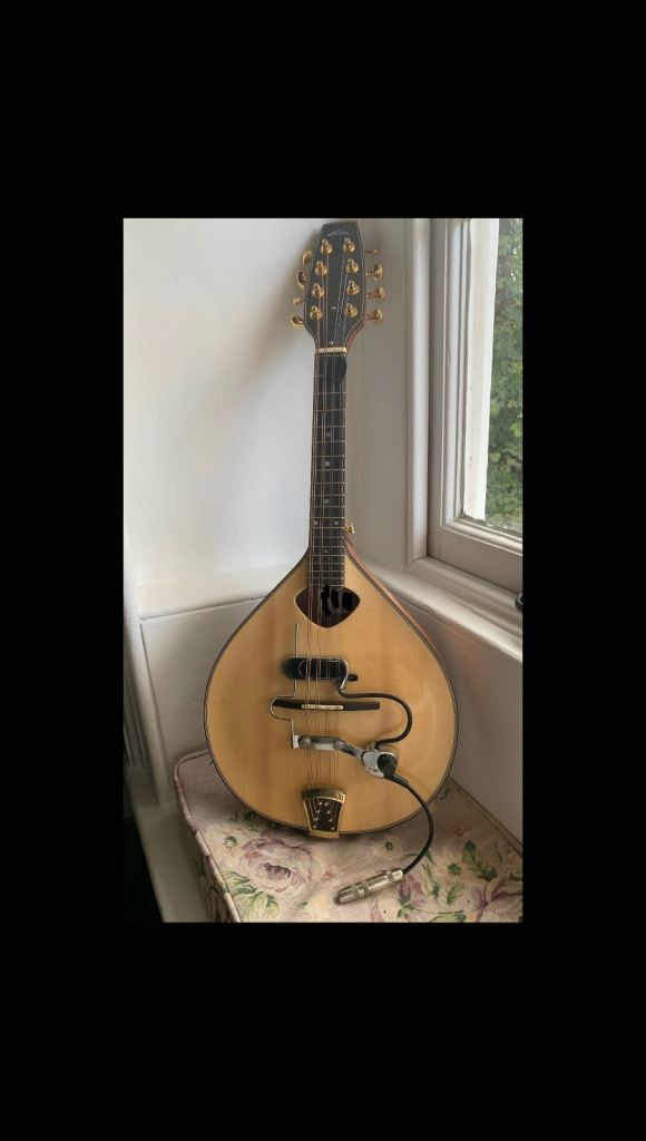 DeArmond “Monkey on a Stick” Mandolin pickup