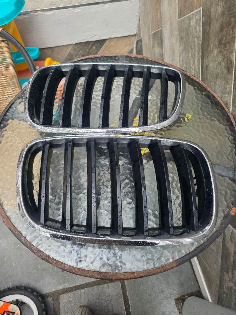 BMW X5 kidney grills