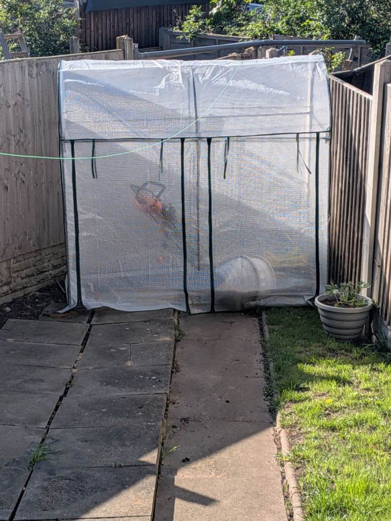 Walk In Greenhouse 