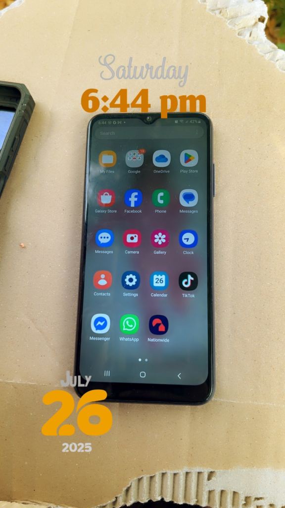 Samsung Galaxy A03s in blue