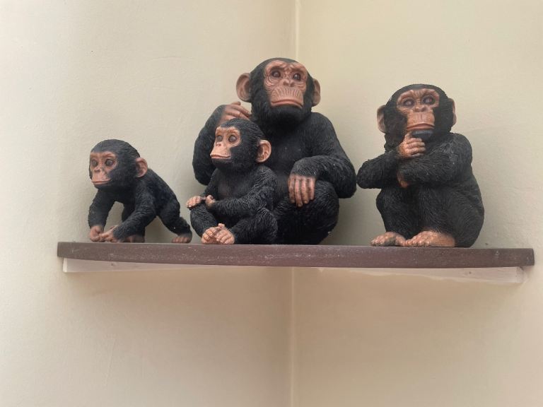 Vivid Arts.  Collection of monkeys