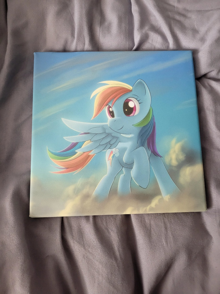 Two my little pony canvas pictures 
