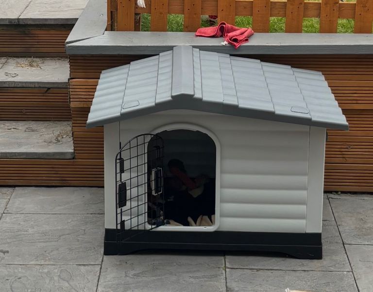 Dog kennel 