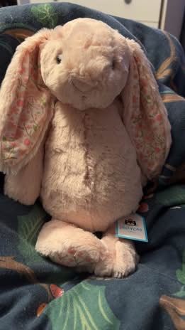  Jelly cat bunny