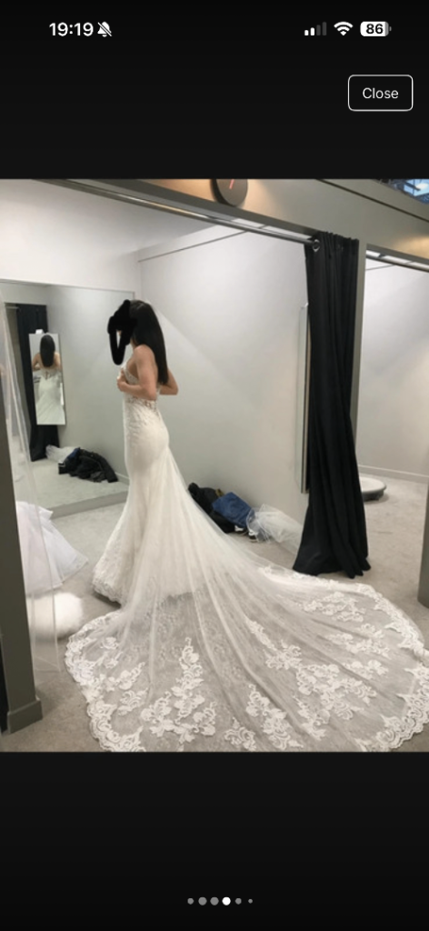 Brand new wedding dress and underskirt included.