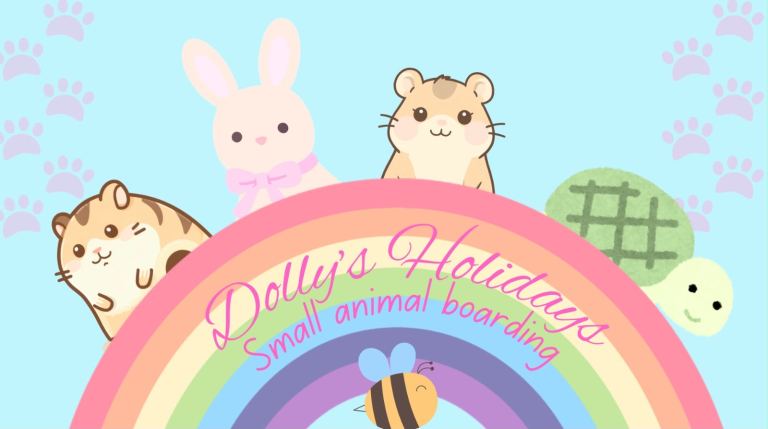 Dolly’s Holidays small animal boarding 