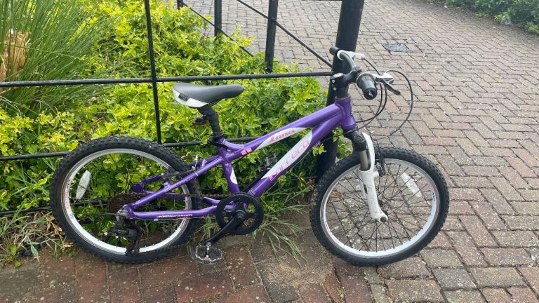 Carrera Luna bike 