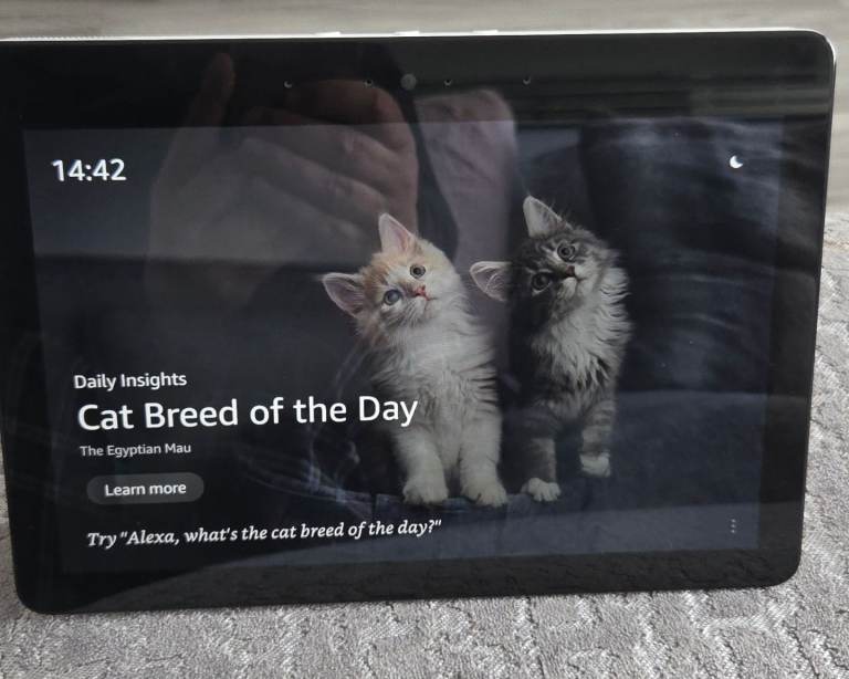 Amazon echo show 8 2nd generation 