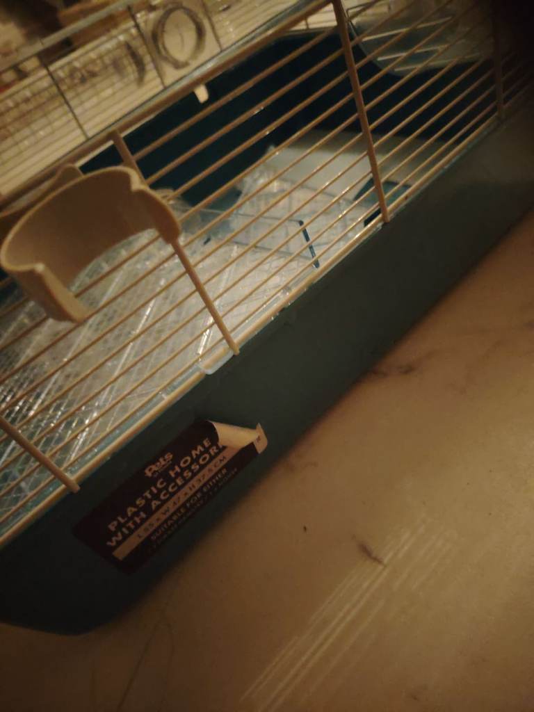 Hamster cage 