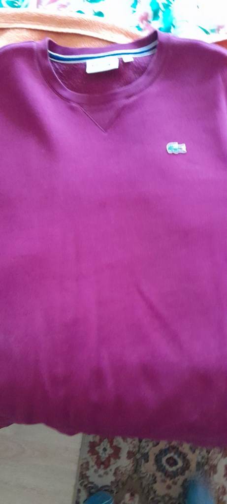 Lacoste sweatshirt 