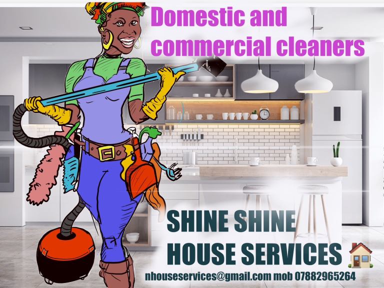 Domestic and Commercial Cleaners 