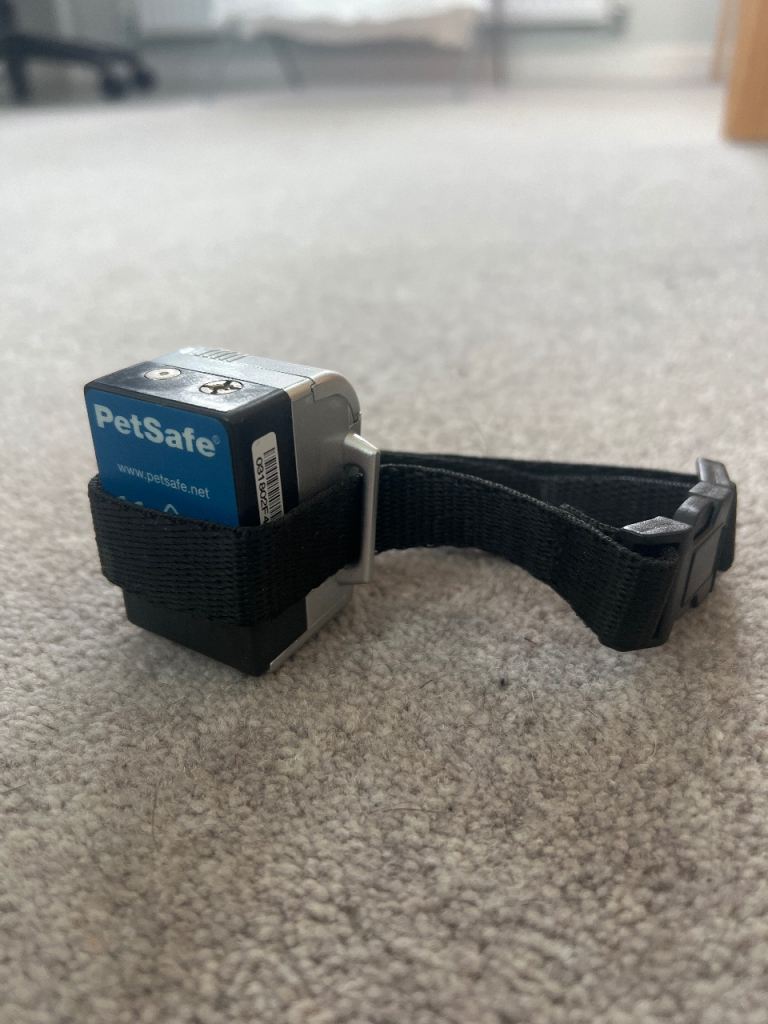 PetSafe Bark Control Collar – Used – Adjustable Strap