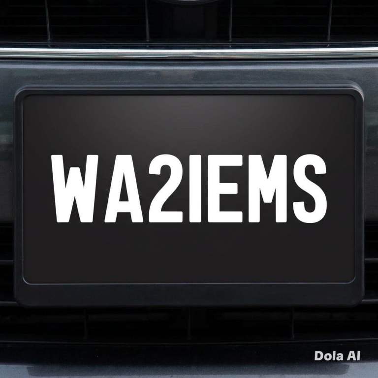 WASIM PRIVATE NUMBER PLATE 