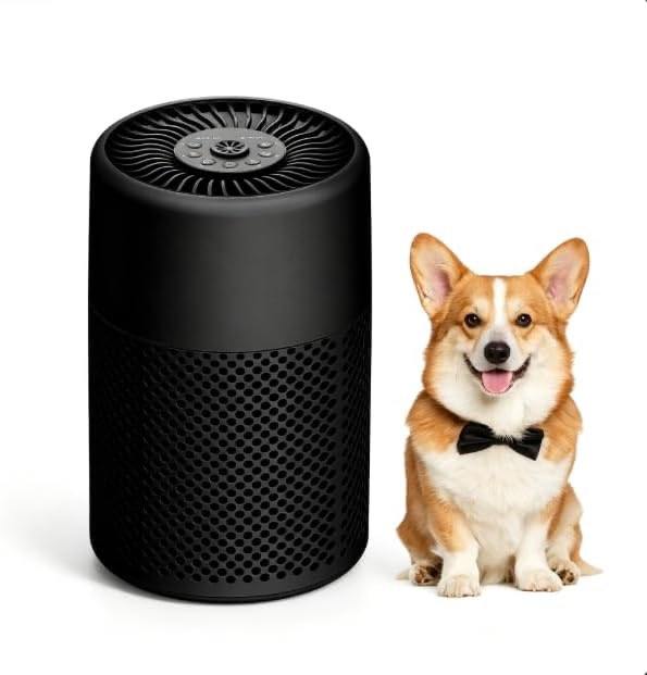 CHIVALZ Air Purifier with Essential Oil Diffuser Function