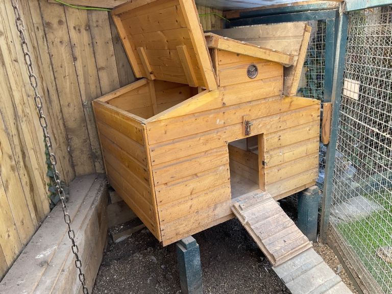 Chicken Coop