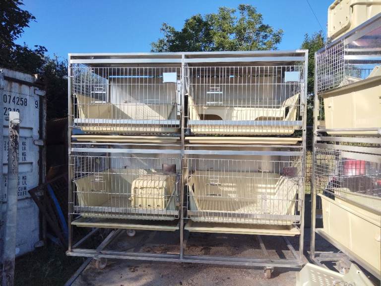 Vets surgery small animal cage x4