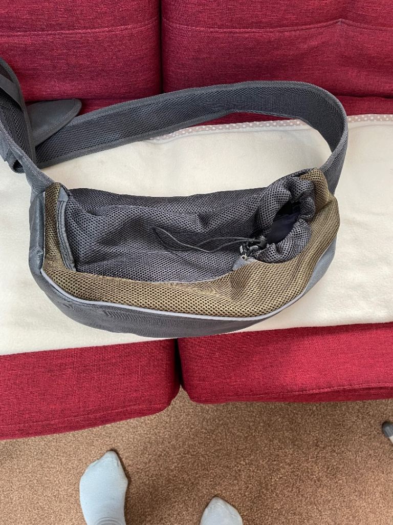 Pet carrier for small dog