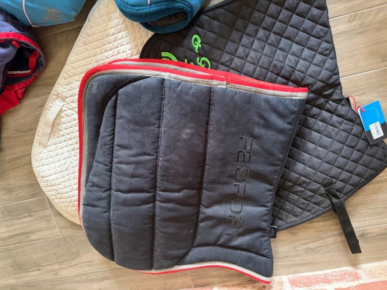 Horsey Joblot