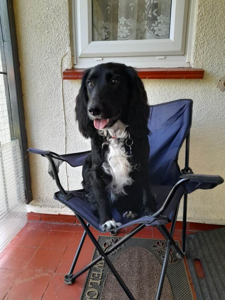 Max