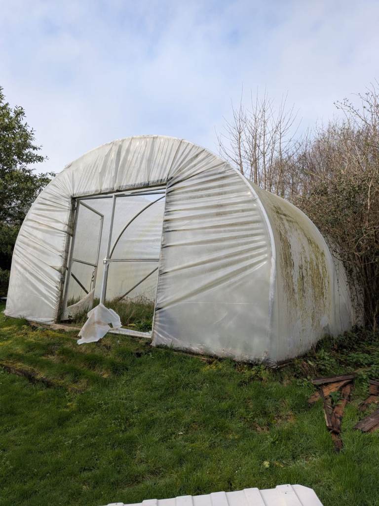 6 x 5 meter Polytunnell Greenhouse Growhouse