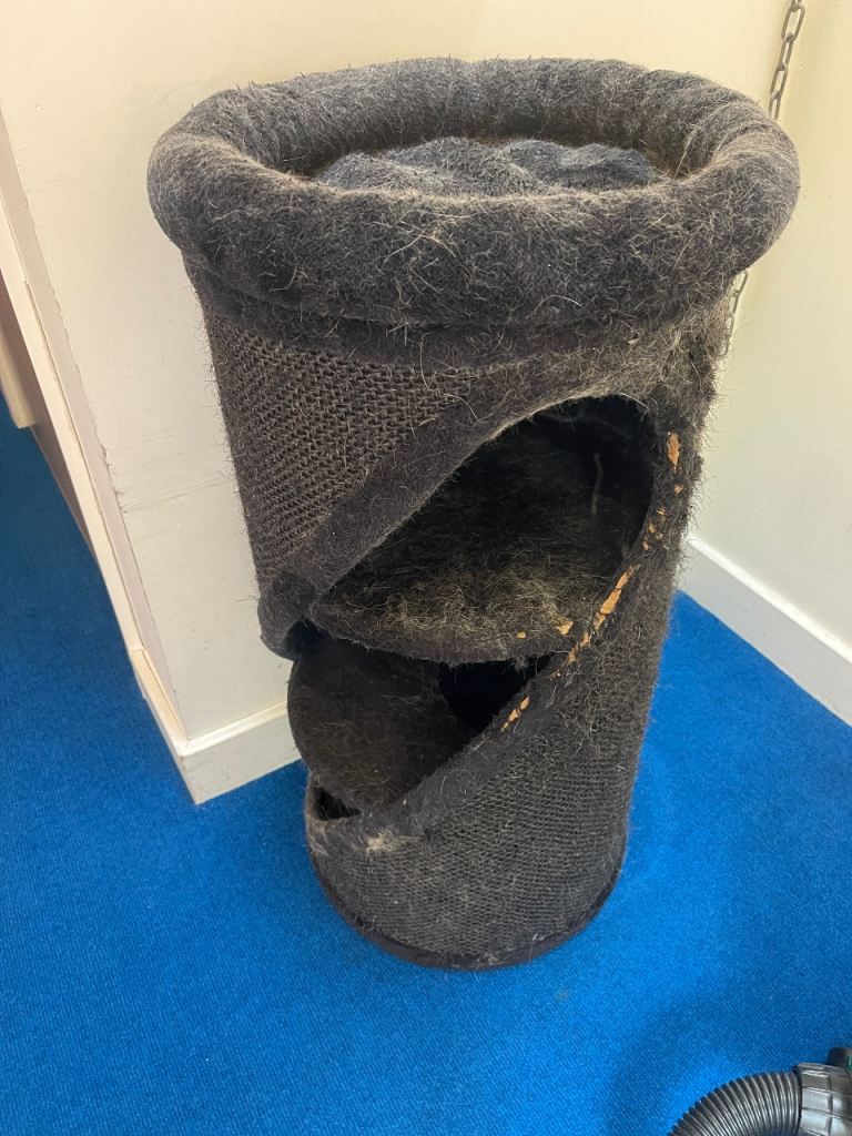 Diogenes Diagonal cat Scratching Barrel
