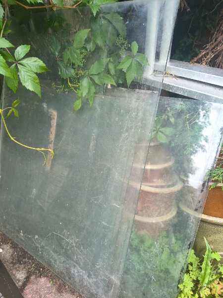 Greenhouse glass 