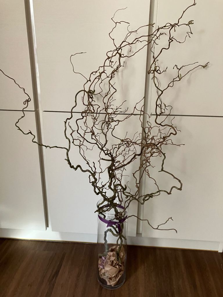 Very large glass vase with corkscrew hazel. Collect Fulham